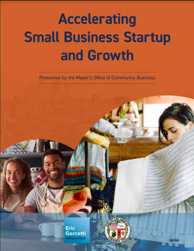 Accelerating Small Business Startup and Growth